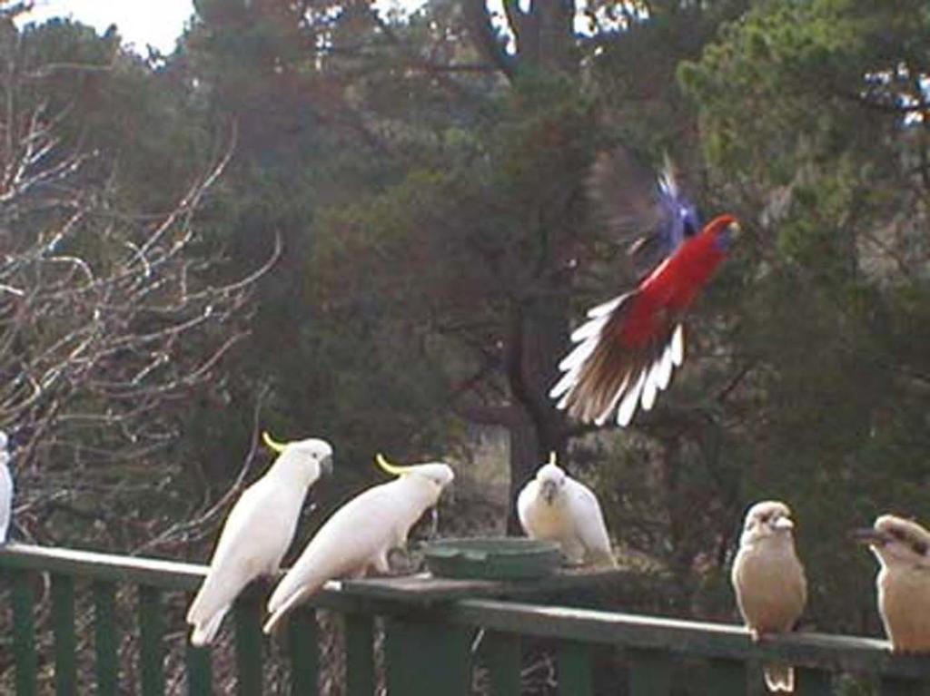 Mooltan House Hotel Hepburn Springs Luaran gambar